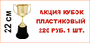 Пластиковый кубок за 220 рублей!